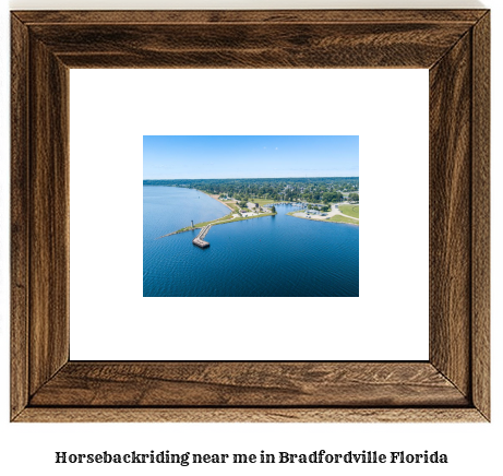 horseback riding near me in Bradfordville, Florida